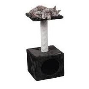 SCRATCHING TREE CHARLES SCRATCHING TREE CHARLES