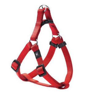 HARN STEP&GO ZIGGI RED