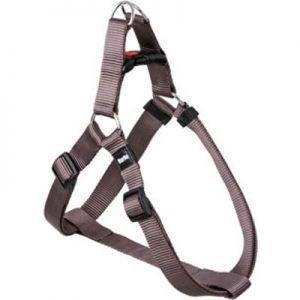 HARN STEP&GO ZIGGI TAU