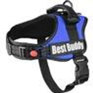 HARNESS BEST BUDDY PLUTO BLUE HARNESS BEST BUDDY PLUTO BLUE