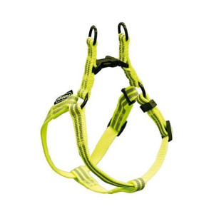 HARNESS STR NEON