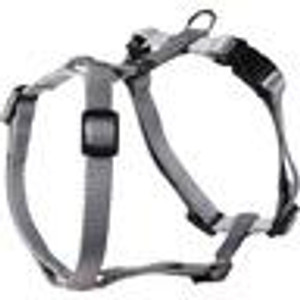 H-HARNESS ZIGGI GREY
