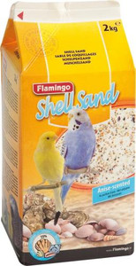 SHELLS SAND WHITE SHELLS SAND WHITE