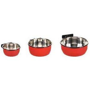 DRINKING AND FEEDING AVARO WITH NUT