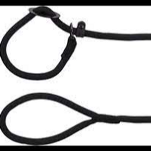 LEASH AIDEN LEASH AIDEN