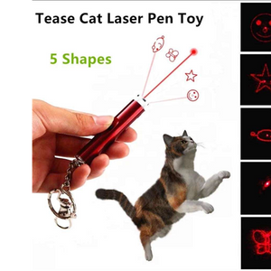 Cat Toy Lighting1013 Cat Toy Lighting1013