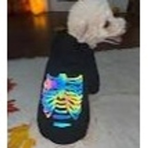 PETSIN 1pc Colorful Skull Reflective Printed Pet Hoodie
