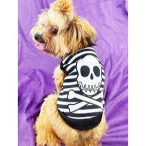 1pc Polyester Skull & Stripe & Printed Pattern, Plush Lined Pet Thicken Halloween Vest 1pc Polyester Skull & Stripe & Printed Pattern, Plush Lined Pet Thicken Halloween Vest