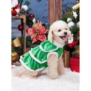 Christmas Tree Costume Transformed Into Green Dress Christmas Tree Costume Transformed Into Green Dress
