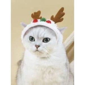 1pc Polyester Red & White Spliced Christmas Pet Single-breasted Dress 1pc Polyester Red & White Spliced Christmas Pet Single-breasted Dress