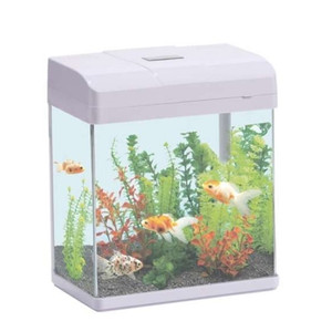 Perfect Aquarium 190x145x215cm Perfect Aquarium 190x145x215cm
