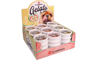 Snack Gelato ICE CREAM With STRAWBERRY / APPLE / VANILLA FLAVOUR