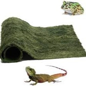 Reptile Carpet Mat for Amphibians