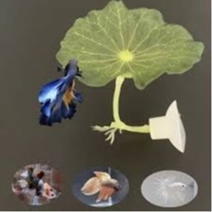 Betta Fish Bed, Leaf Hammock Betta Fish Bed, Leaf Hammock