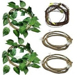 Reptile Jungle Climber Set