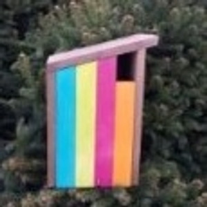 Nest Abstract Multicolor Nest Abstract Multicolor