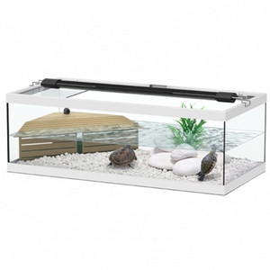 The TORTUM tanks are especially designed for turtles and includes all the necessary elements for creating a balanced habitat. It's made in glass and have a protective glass lid on top. They also include a ramp so that the turtles can take shelter in a dry area and a TC-500 pump for filtration of water. 16W LED light sold separately. The TORTUM tanks are especially designed for turtles and includes all the necessary elements for creating a balanced habitat. It's made in glass and have a protective glass lid on top. They also include a ramp so that the turtles can take shelter in a dry area and a TC-500 pump for filtration of water. 16W LED light sold separately.
