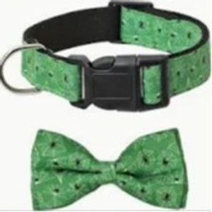 Pumpkin & Bat Adjustable Dog Collars - GREEN