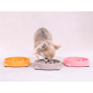 SLOW FEEDER PUPPY BINI 300ML S 16x16x3,5CM ASSORTMENT DISPLAY
