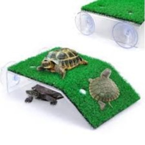 SAAS TURTLE WITH STAND SAAS TURTLE WITH STAND