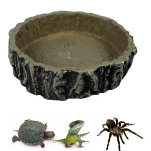 Tortoise Feeders Resin 10*10*2.5 Tortoise Feeders Resin 10*10*2.5