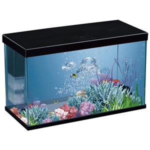 Karis Edge LDA Desktop Aquarium-LX-A863 -11 Litres-Black Karis Edge LDA Desktop Aquarium-LX-A863 -11 Litres-Black