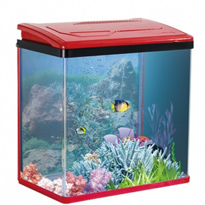Karis PY-Series Aquarium 285 x 180 x 300mm[Color - Maroon]