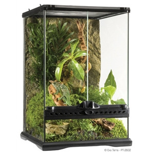 Exo Terra Natural Terrarium Mini Mini/Tall 30 x 30 x 45cm Exo Terra Natural Terrarium Mini Mini/Tall 30 x 30 x 45cm