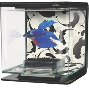 Marina Betta Kit - Ying/Yang 2 L