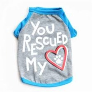 YOU RESCUED MY HEART