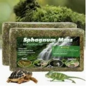 now  Saas Sphagnum Moss Reptile Use 300gm