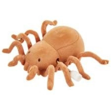 Saas Cat Spider Toy 12pcs/Box 10x7.5x3.2 CM