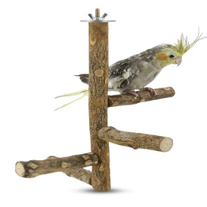 Parrots Standing Stick 25*12.8
