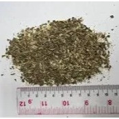 Petbroo Catnip Powder 260ml