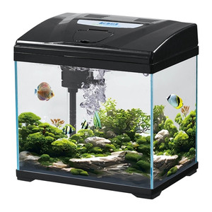 Karis Super White Glass Aquarium PD-315 - [30x21x30cm, Color - Black]