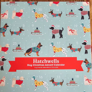 Hatchwell - Advent Calendar For Dogs