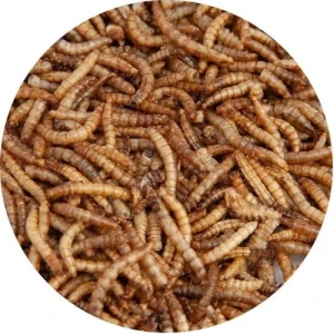Saas Dried Meal Worms 100gm