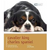 Cavalier King Charles-Dog Expert Cavalier King Charles-Dog Expert