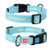 WAUDOG COLLAR NYLON GLOWS 23-35BLUE