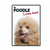 POODLE (LIVES HERE) SIGN