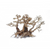 TWINS BONSAI WOOD - SMALL TWINS BONSAI WOOD - SMALL