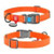 WAUDOG Waterproof dog collar with QR passport plastic fastex W 25 mm L 35-58 cm orange