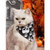 SKELETON PET BANDANA COLLAR (SMALL)