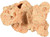 AD SAHARA CORAL 19x16x15CM AD SAHARA CORAL 19x16x15CM