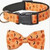 Pumpkin & Bat Adjustable Dog Collars -ORANGE