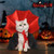 Spooky Vampire Pet Cape Costume with Bow Tie