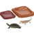 Tortoise Bath Tub&Feeder -Plastic M 17x11cm
