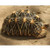 INDIAN STAR TORTOISE INDIAN STAR TORTOISE
