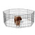 Saas Dog Play Pen (S - 61 X 61Cm 24Inch