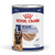 Size Health Nutrition Maxi Adult (Wet Food - Can-410grams